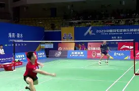 NG体育- 羽毛球夜战：庐州银狐队淘汰对手天山猎隼队，临门一脚致胜经验成为胜负手